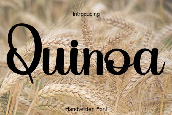 Quinoa: A Handwritten Font for Creative Marketing